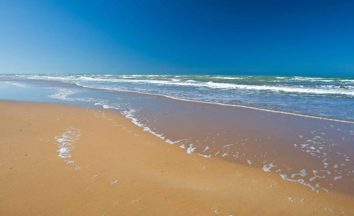 COSTA BALLENA